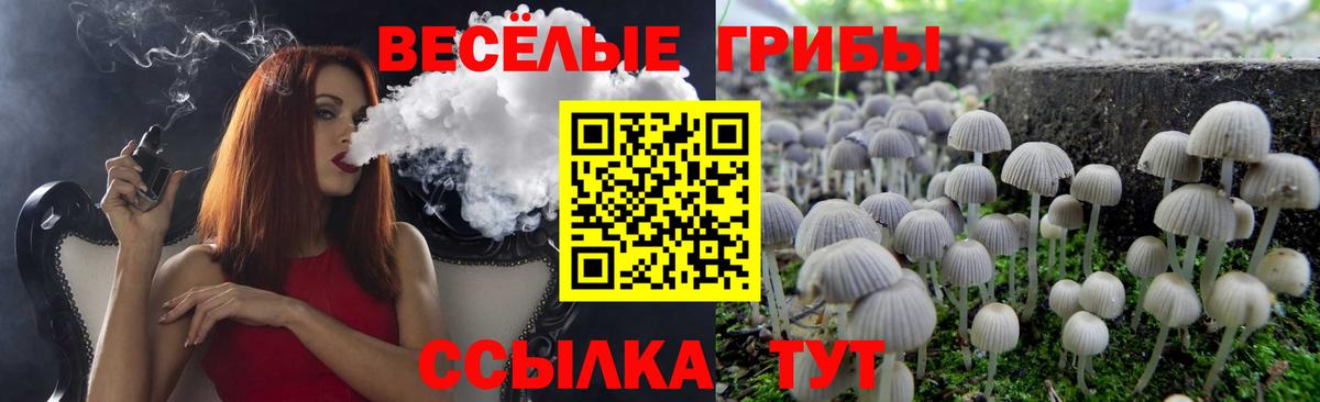 Галлюциногенные грибы мицелий Ликино-Дулёво